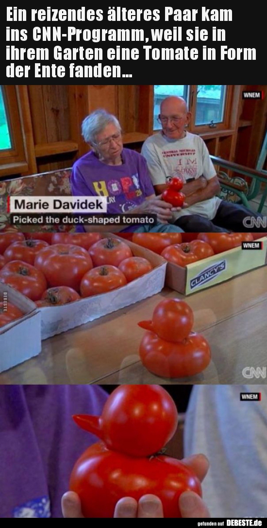 Ein reizendes älteres Paar kam ins CNN-Programm, weil sie.. - Lustige Bilder | DEBESTE.de