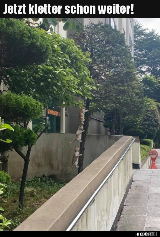 Jetzt kletter schon weiter!..