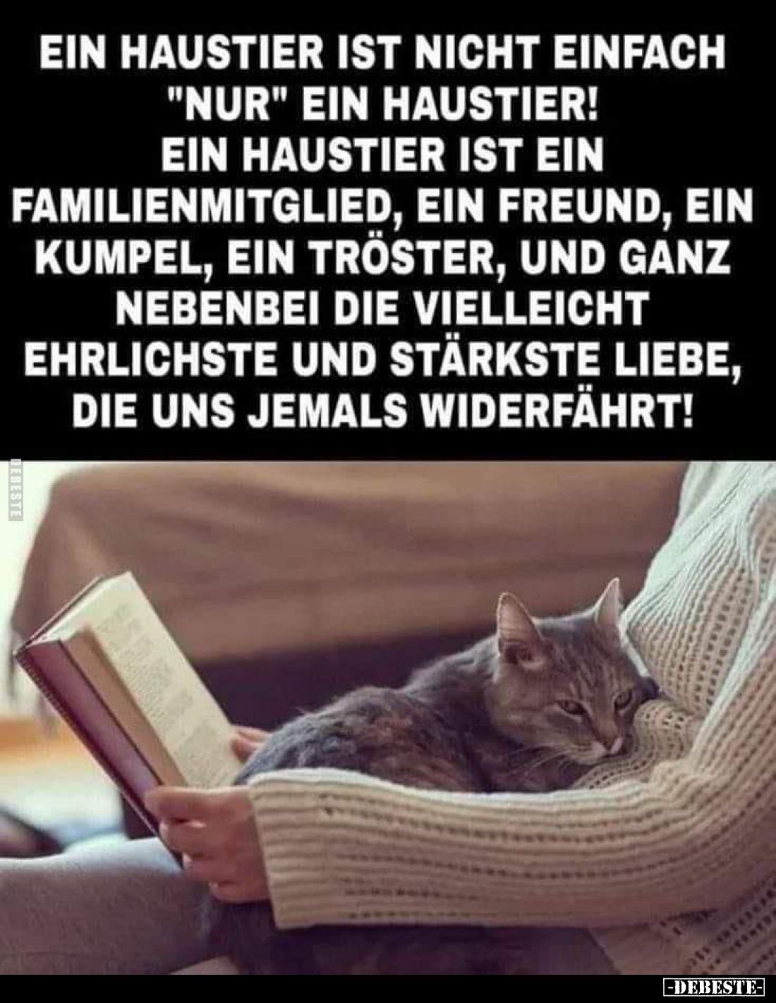 Ein Haustier ist nicht einfach "nur" ein Haustier! Ein Haustier ist ein Familienmitglied, ein Freund, ein Kumpel, e...