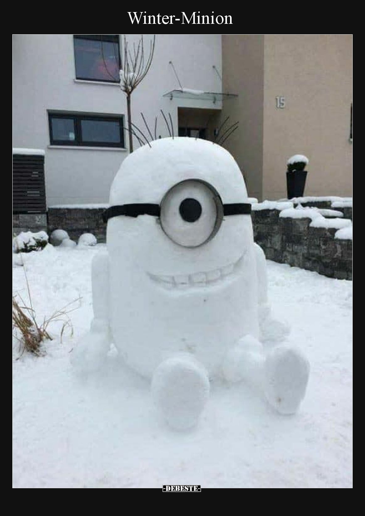 Winter-Minion