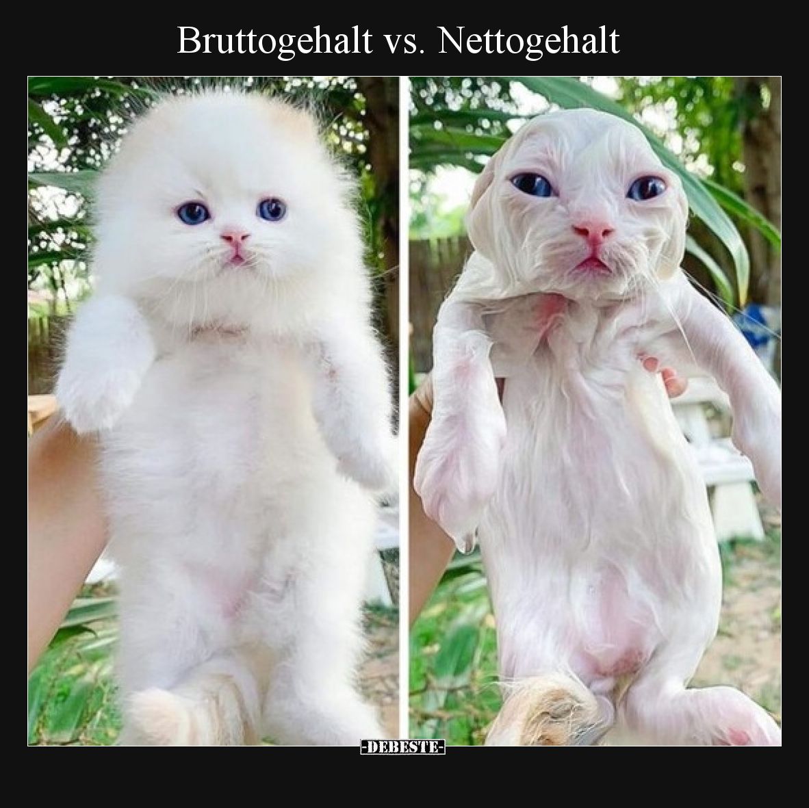Bruttogehalt vs. Nettogehalt