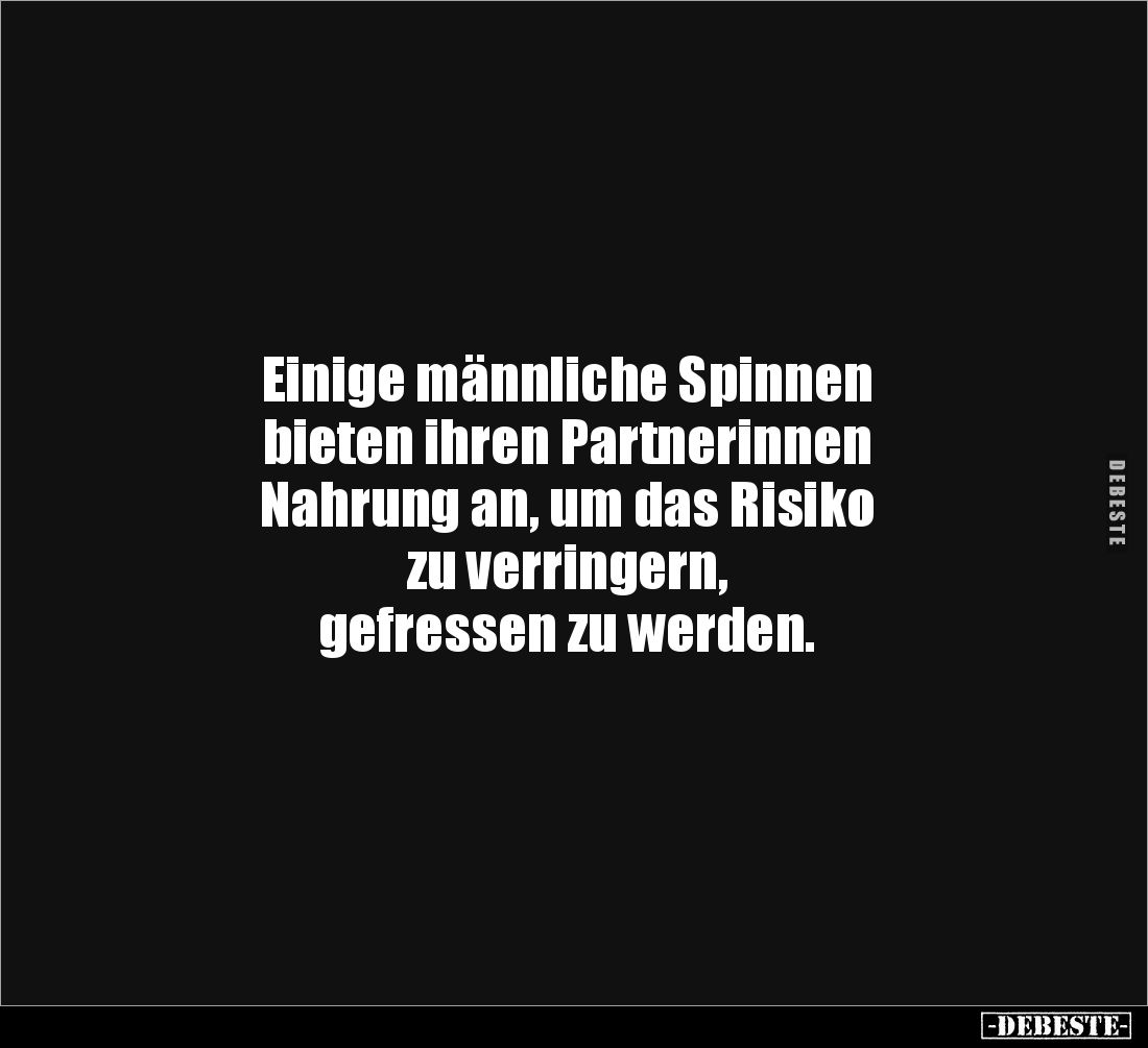 Einige männliche Spinnen bieten... - Lustige Bilder | DEBESTE.de
