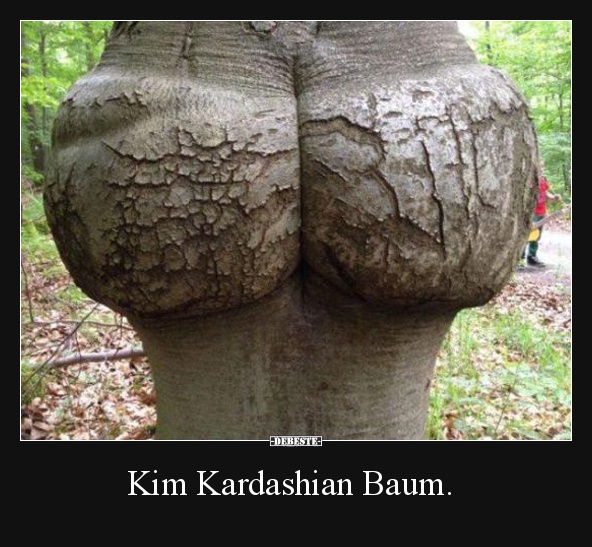 Kim Kardashian Baum. - Lustige Bilder | DEBESTE.de