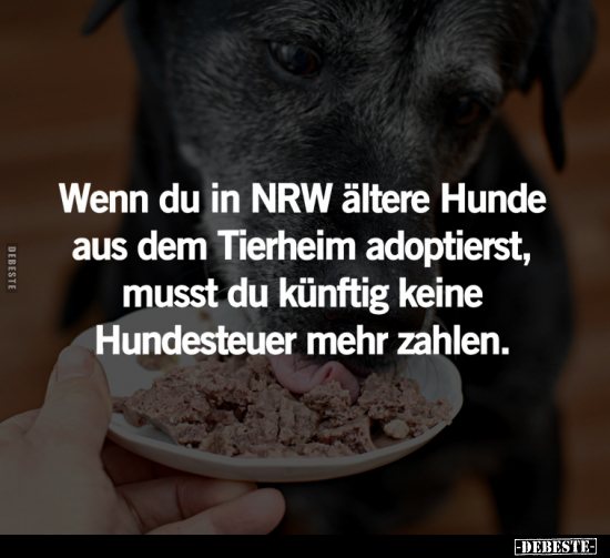 Wenn du in NRW ältere Hunde.. - Lustige Bilder | DEBESTE.de