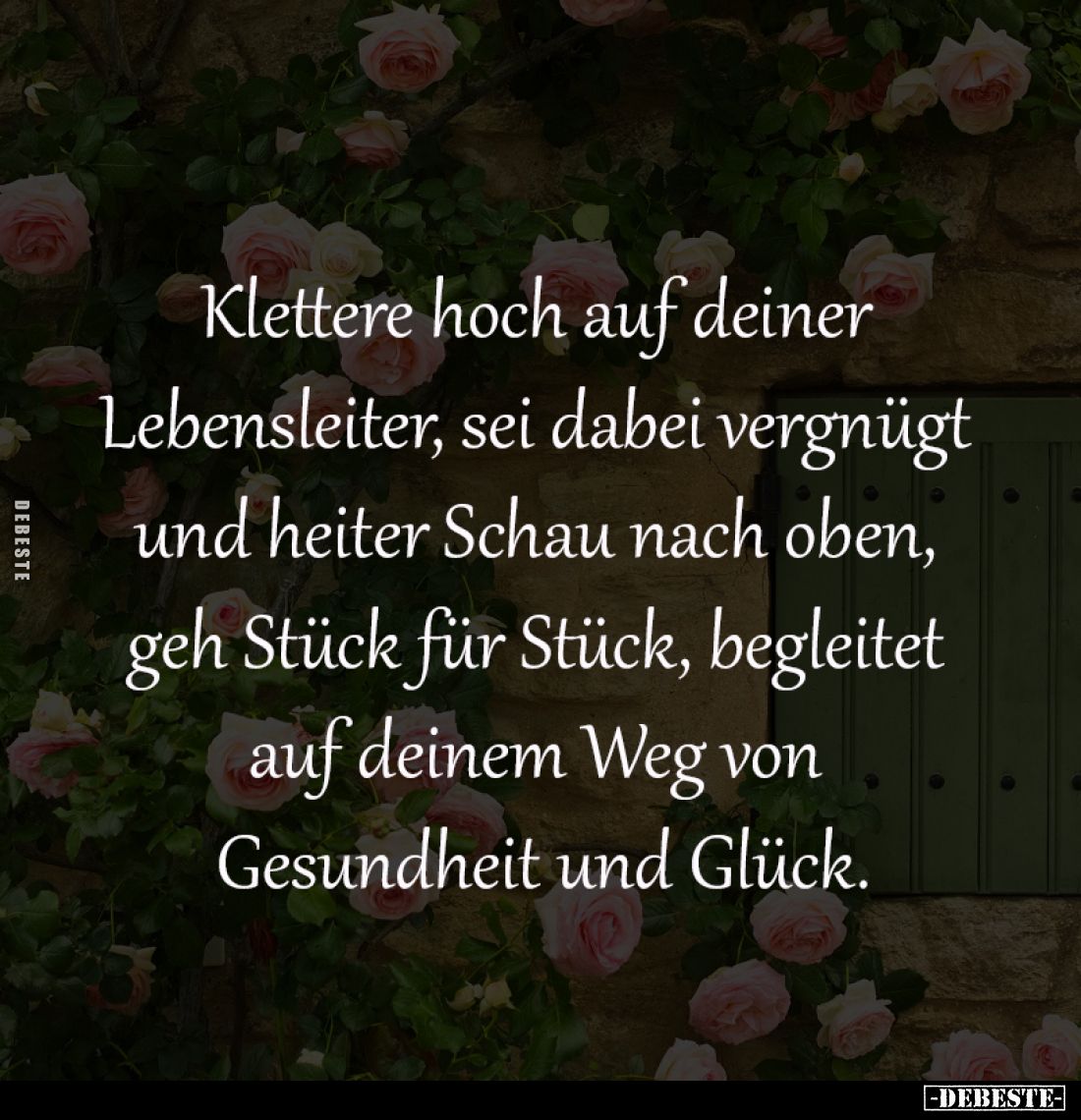 Klettere hoch auf deiner 
Lebensleiter, sei dabei vergnügt 
und heiter Schau nach oben, geh 
Stück für Stück, begleitet au...