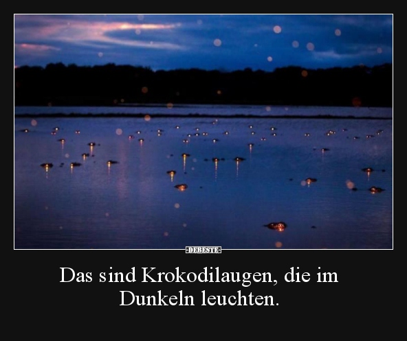 Das sind Krokodilaugen, die im Dunkeln leuchten.. - Lustige Bilder | DEBESTE.de
