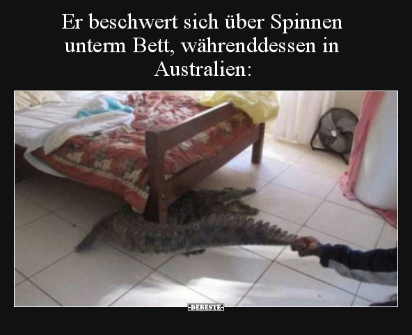 Er beschwert sich über Spinnen unterm Bett, währenddessen.. - Lustige Bilder | DEBESTE.de