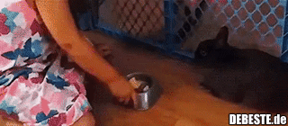 Das Zeug kannst selber essen..