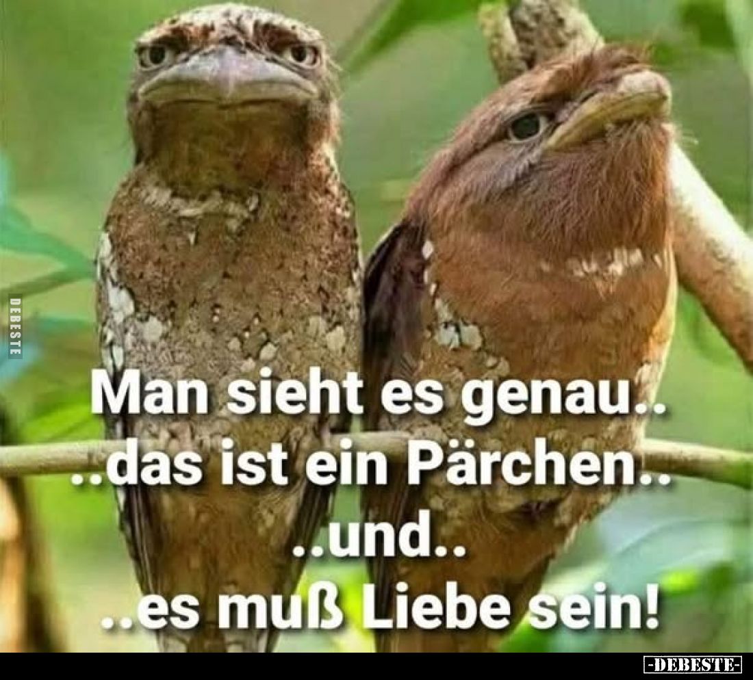Man sieht es genau. Das ist ein Pärchen. Und es muß Liebe sein!