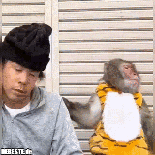 Angemessene Reaktion..