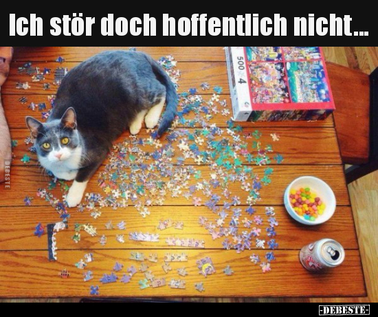 Ich stör doch hoffentlich nicht...