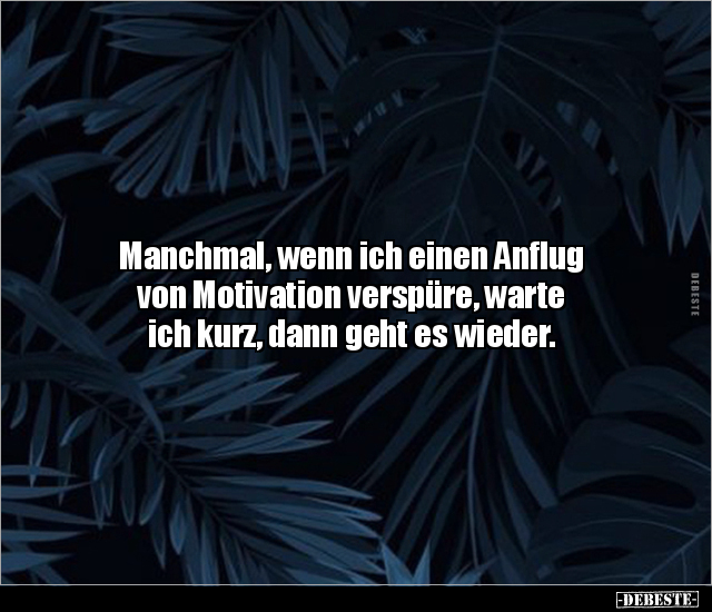 Manchmal, wenn ich einen Anflug von Motivation verspüre.. - Lustige Bilder | DEBESTE.de