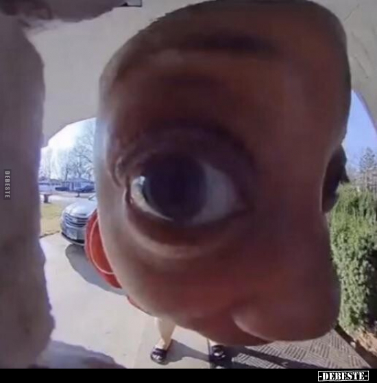  - Lustige Bilder | DEBESTE.de