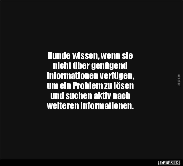 Hunde wissen, wenn sie nicht über genügend Informationen.. - Lustige Bilder | DEBESTE.de