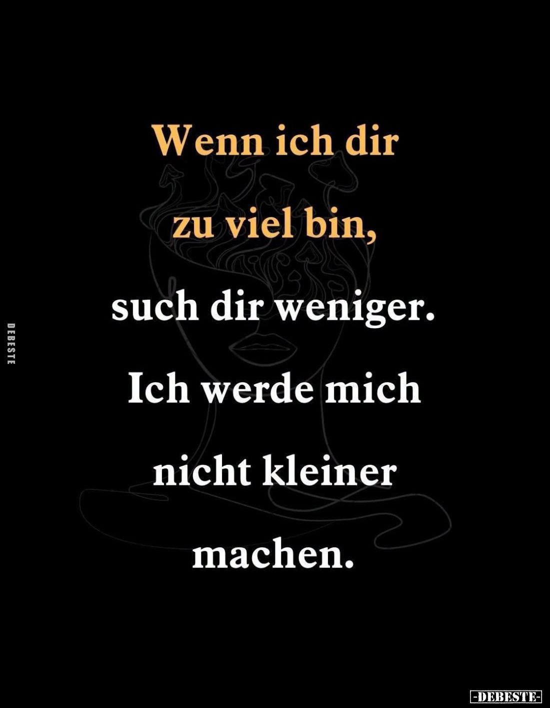 Wenn ich dir zu viel bin,
such dir weniger.
Ich werde mich nicht kleiner machen.