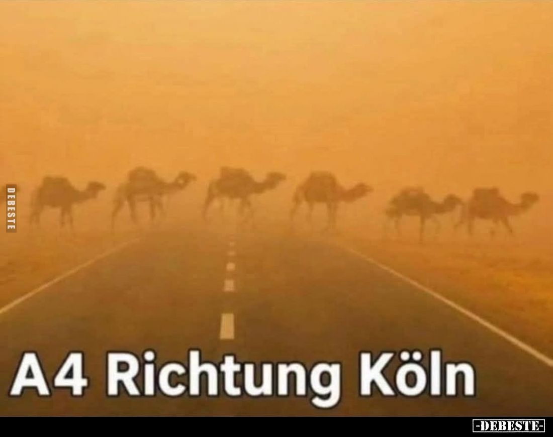A4 Richtung Köln