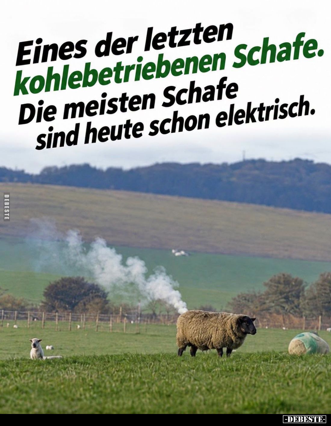 Eines der letzten kohlebetriebenen Schafe.
Die meisten Schafe sind heute schon elektrisch.