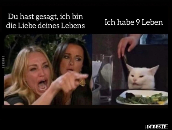 Du hast gesagt, ich bin die Liebe deines Lebens.. - Lustige Bilder | DEBESTE.de