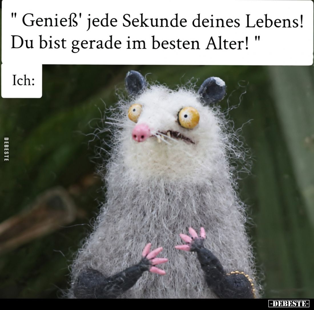 "Genieß' jede Sekunde deines Lebens! Du bist gerade im.." - Lustige Bilder | DEBESTE.de