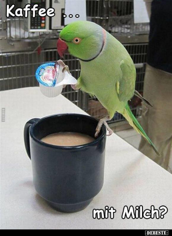 Kaffeee... mit Milch?..