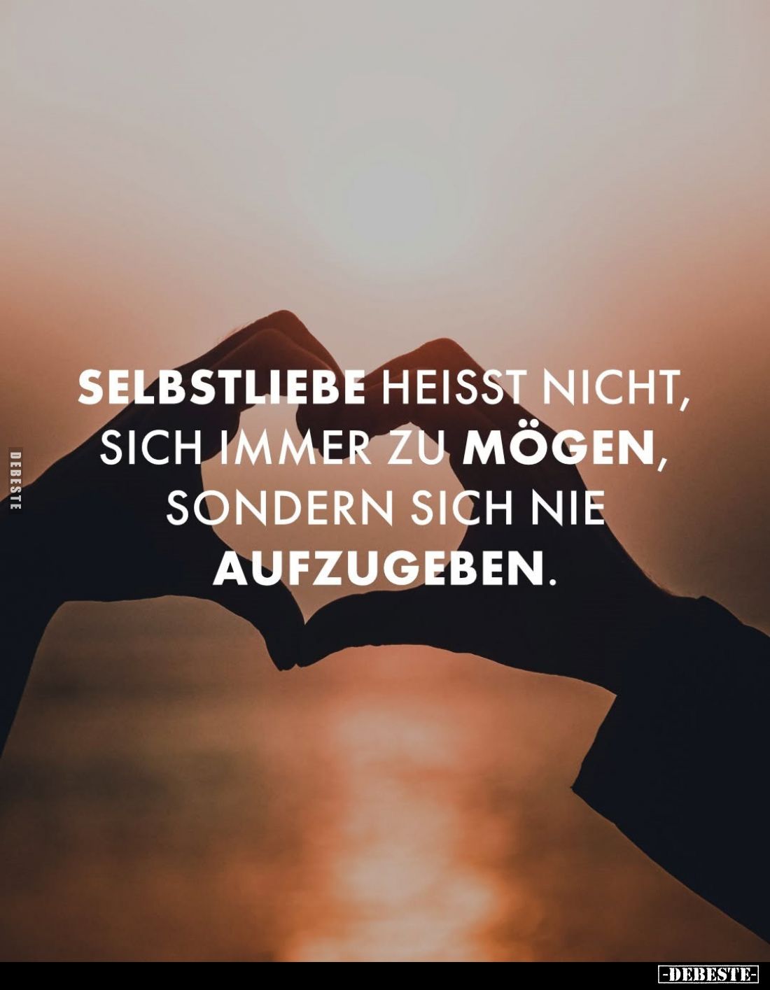 Selbstliebe heisst nicht, sich immer zu mögen, sondern sich nie aufzugeben.