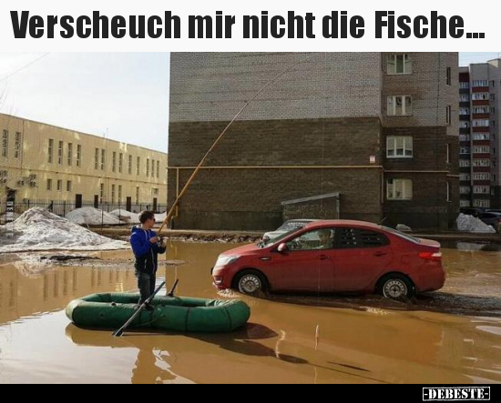 Verscheuch mir nicht die Fische... - Lustige Bilder | DEBESTE.de