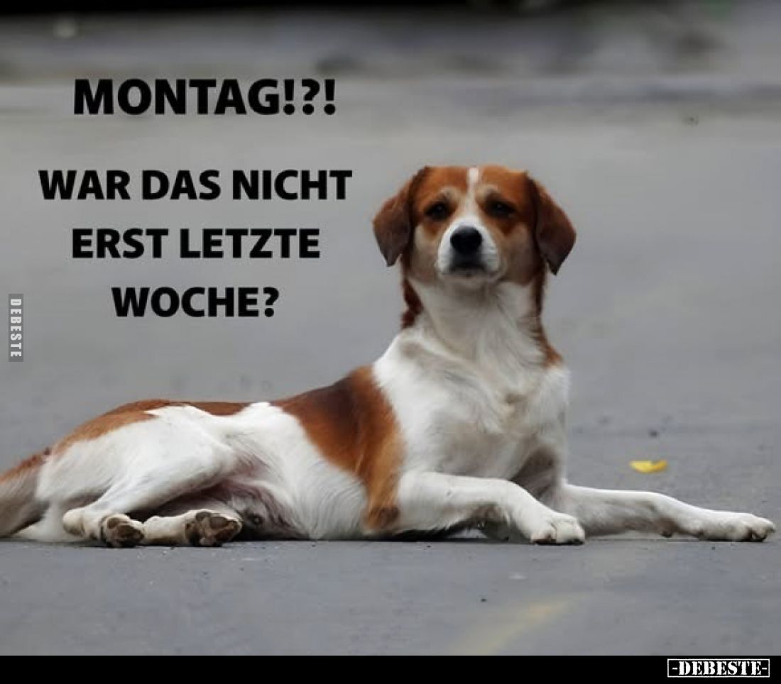 Montag!?!
War das nicht erst letzte Woche?