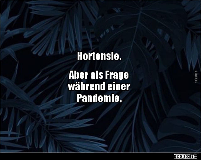 Hortensie. Aber als Frage während einer.. - Lustige Bilder | DEBESTE.de