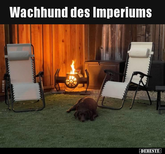 Wachhund des Imperiums.. - Lustige Bilder | DEBESTE.de