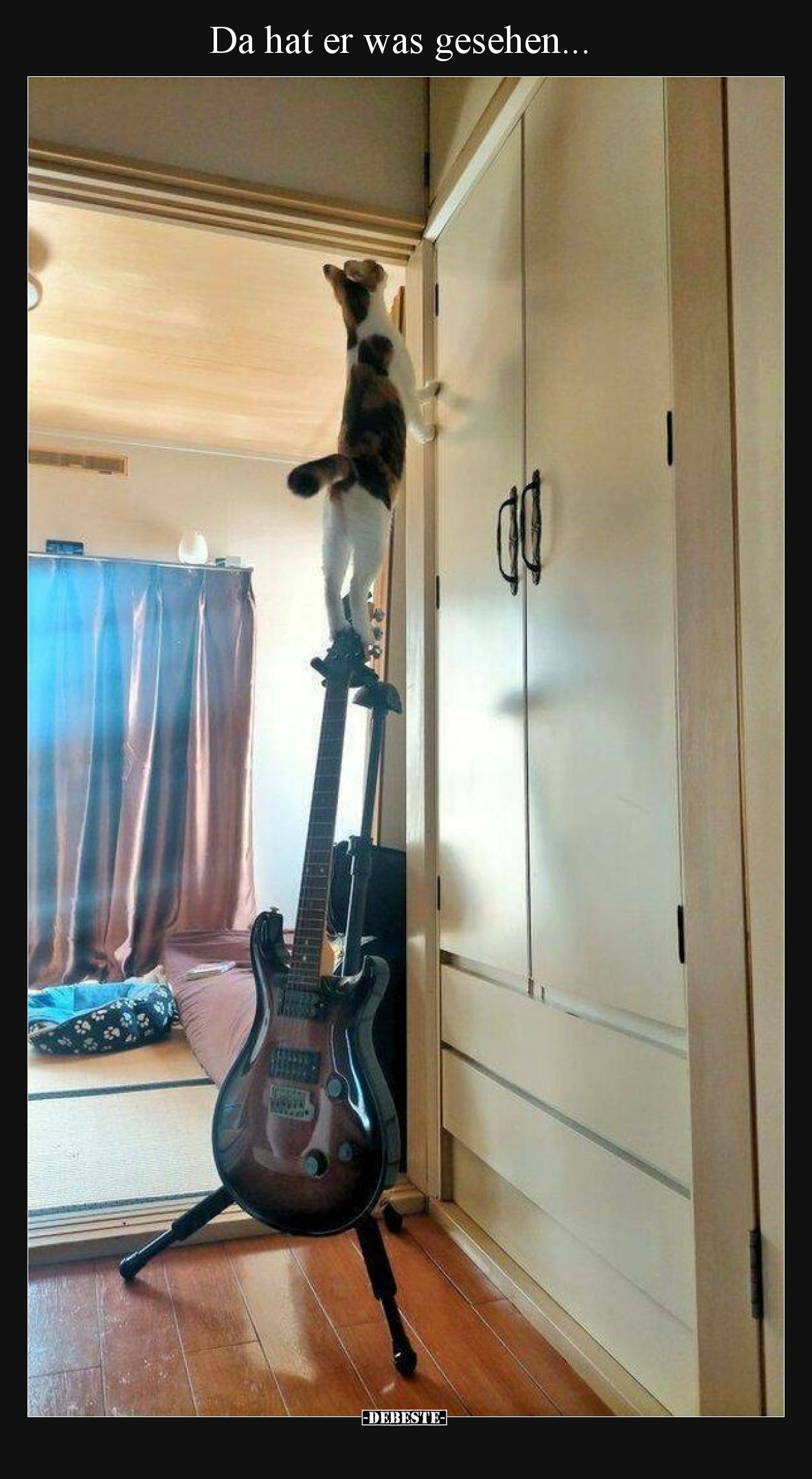 "Da hat er was gesehen"