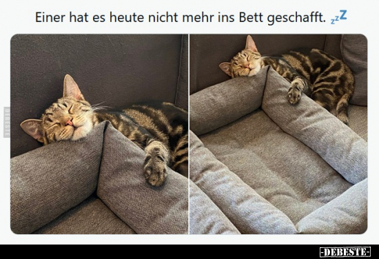 Einer hat es heute nicht mehr ins Bett geschafft... - Lustige Bilder | DEBESTE.de