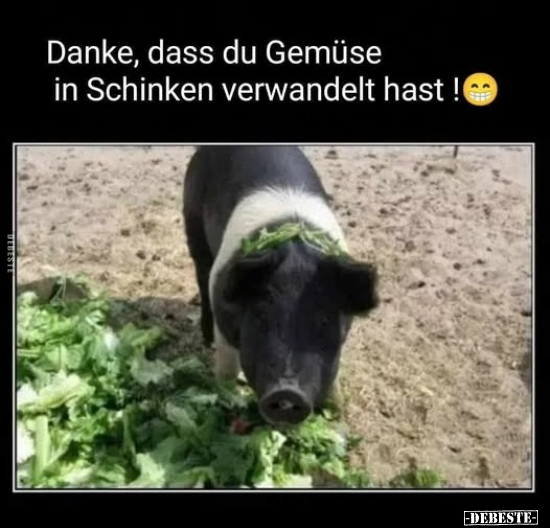 Danke, dass du Gemüse in Schinken verwandelt hast !.. - Lustige Bilder | DEBESTE.de