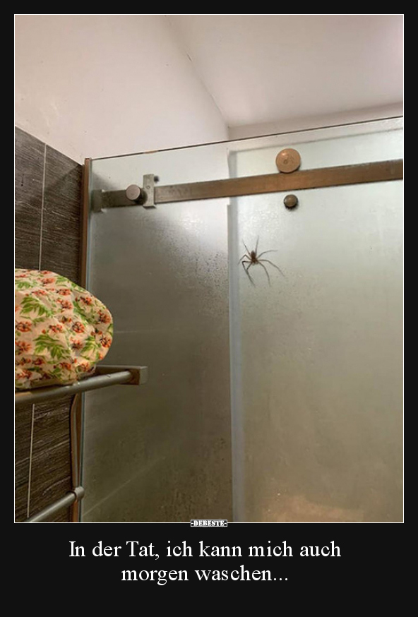 In der Tat, ich kann mich auch morgen waschen...