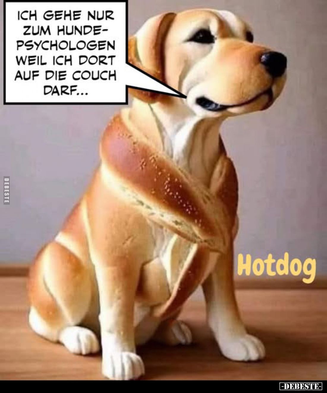 Ich gehe nur zum Hundepsychologen weil ich dort auf die Couch darf...