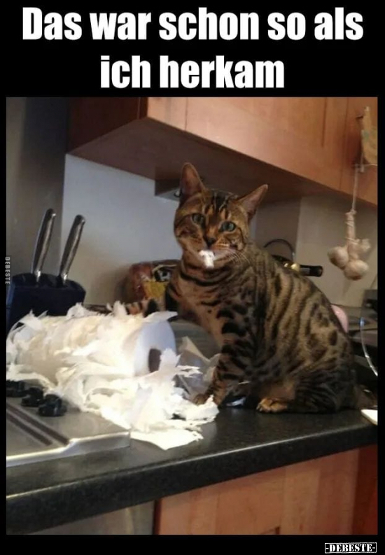 Das war schon so als ich herkam