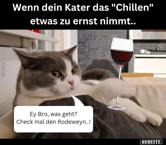 Wenn dein Kater das "Chillen" etwas zu ernst nimmt.. - Lustige Bilder | DEBESTE.de