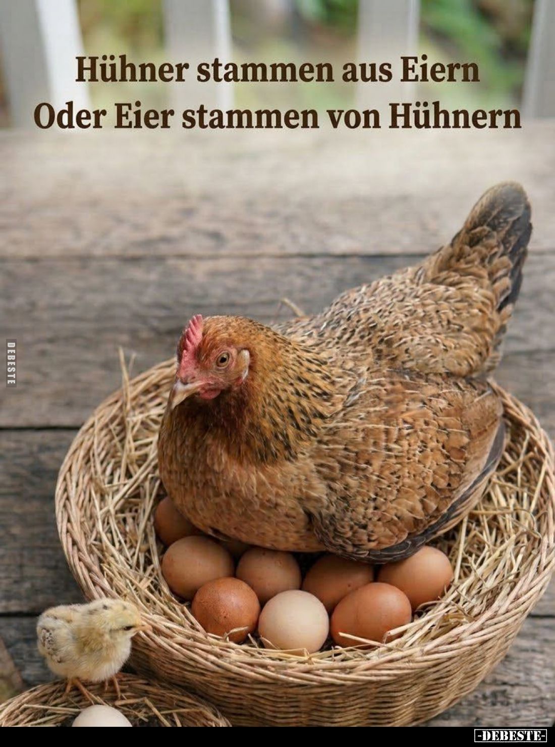 Hühner stammen aus Eiern oder Eier stammen von Hühnern.