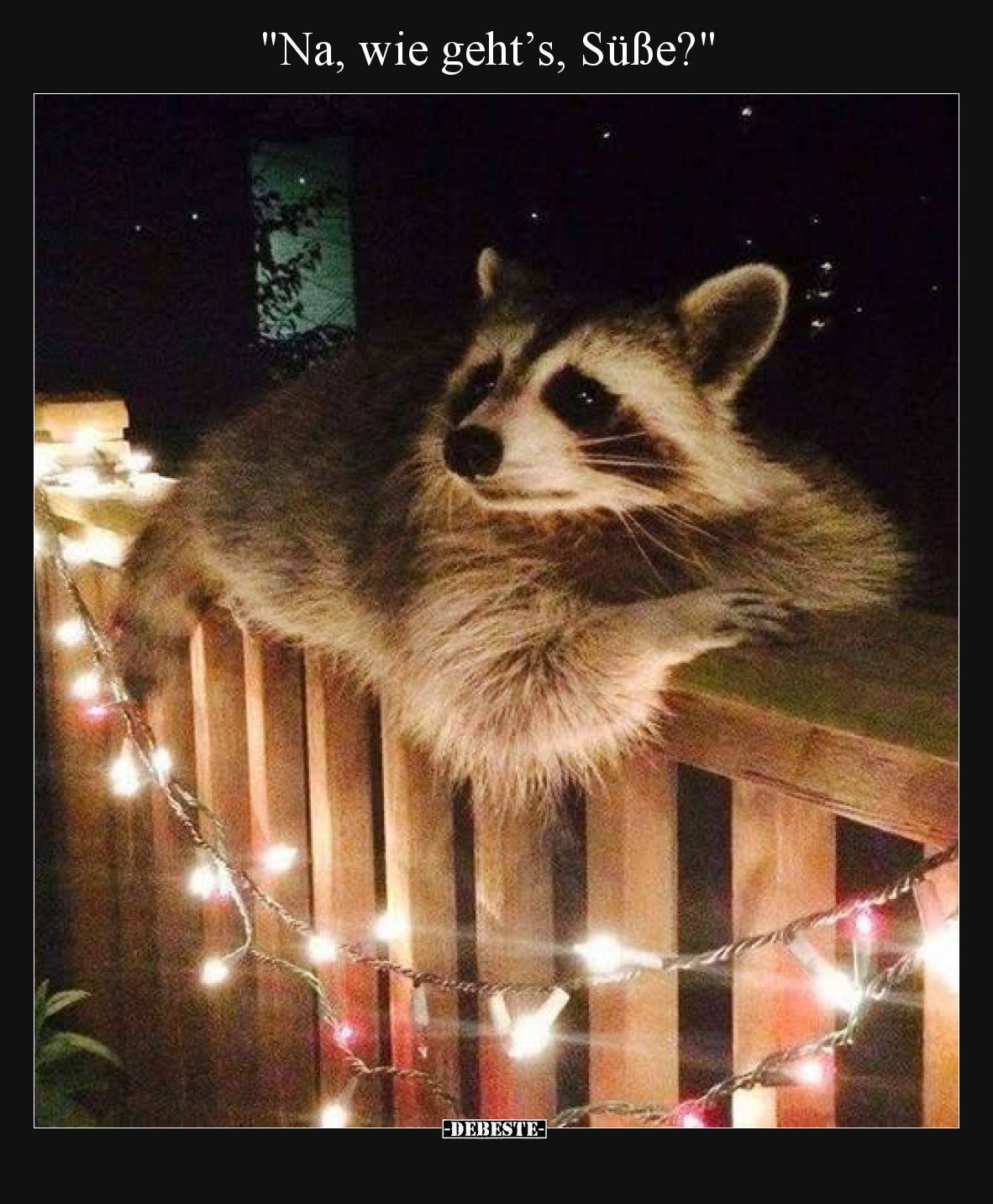 "Na, wie geht’s, Süße?".. - Lustige Bilder | DEBESTE.de