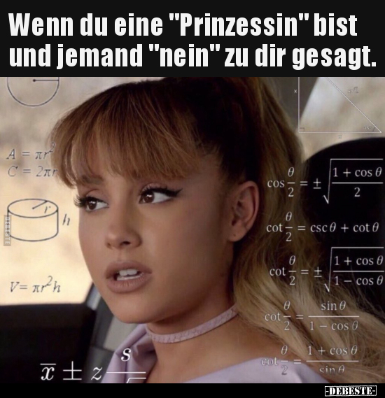 Wenn du eine "Prinzessin" bist und jemand "nein" zu dir.. - Lustige Bilder | DEBESTE.de