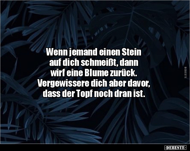 Wenn jemand einen Stein auf dich schmeißt, dann.. - Lustige Bilder | DEBESTE.de