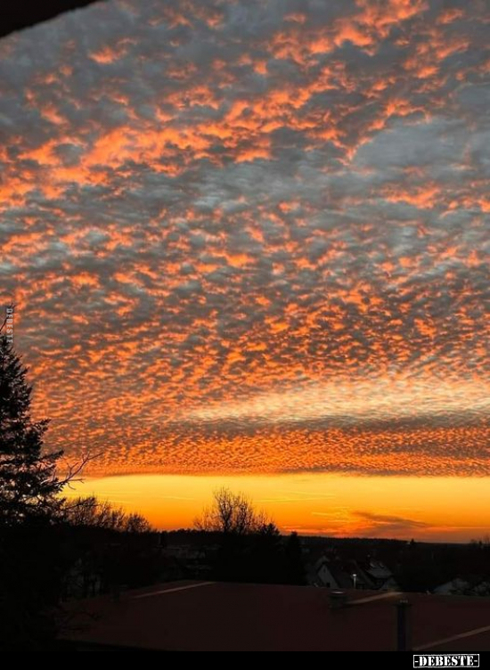  - Lustige Bilder | DEBESTE.de