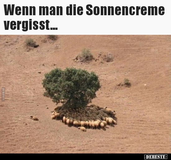 Wenn man die Sonnencreme vergisst...