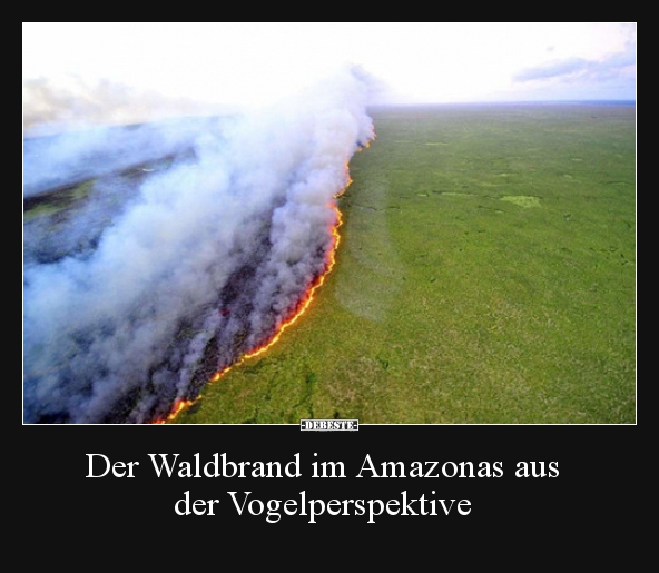 Der Waldbrand im Amazonas aus der Vogelperspektive.. - Lustige Bilder | DEBESTE.de