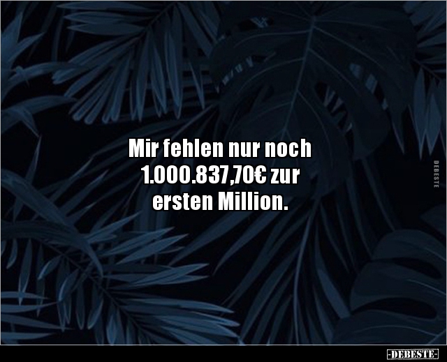 Mir fehlen nur noch 1.000.837,70€ zur ersten.. - Lustige Bilder | DEBESTE.de