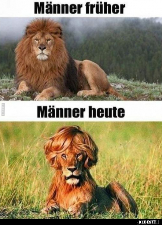 Männer früher
-
Männer heute