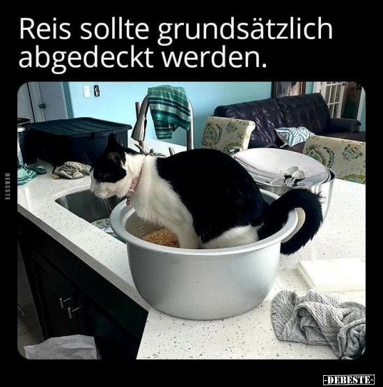 Reis sollte grundsätzlich abgedeckt werden.