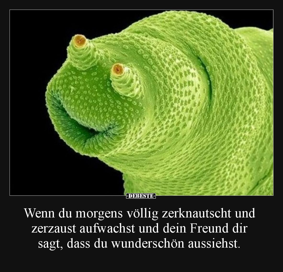 Wenn du morgens völlig zerknautscht und zerzaust aufwachst und dein Freund dir sagt, dass du wunderschön aussiehst.