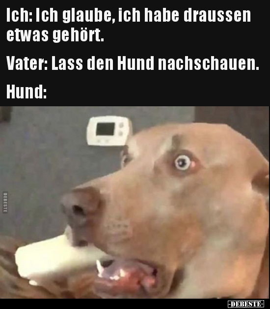 Ich: Ich glaube, ich habe draussen etwas gehört..