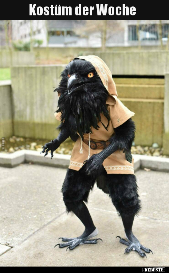 Kostüm der Woche..