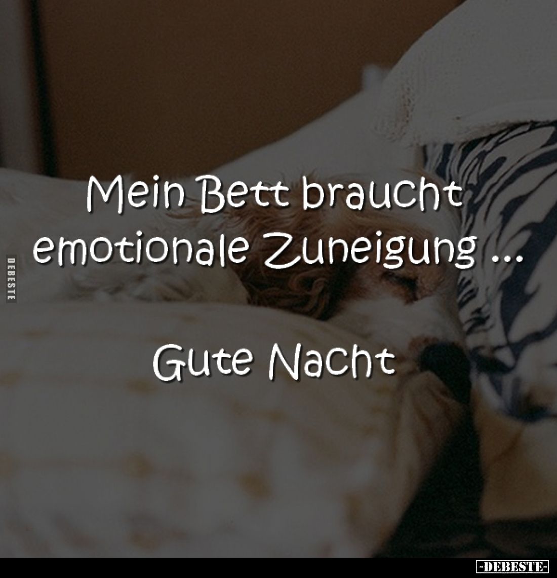 Mein Bett braucht emotionale Zuneigung.
Gute Nacht!